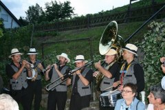 band-31-1