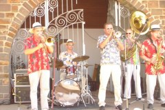 band-33-1